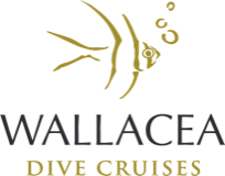 Wallacea Dive Cruises